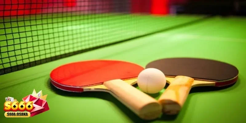cá cược bóng bàn cá cược bóng bàn