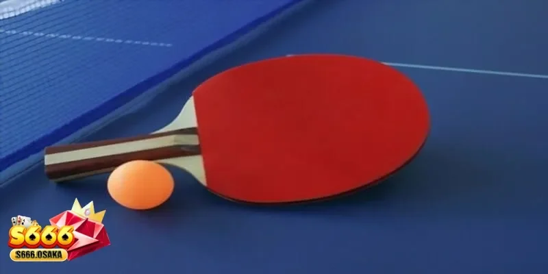 cá cược bóng bàn cá cược bóng bàn