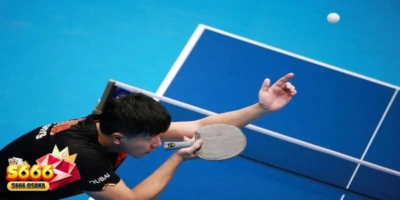 cá cược bóng bàn cá cược bóng bàn